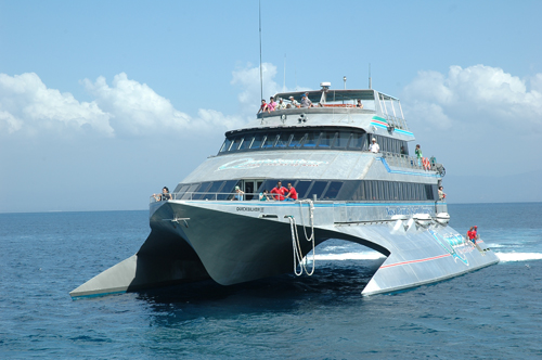 quicksilver cruise
