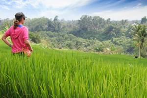 trekking ubud bali