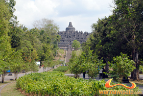 warisan budaya UNESCO candi borobudur